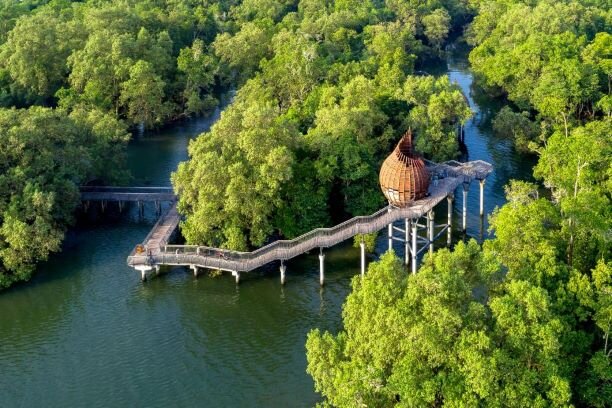 Singapore Will Plant 1 Million Trees By 2030