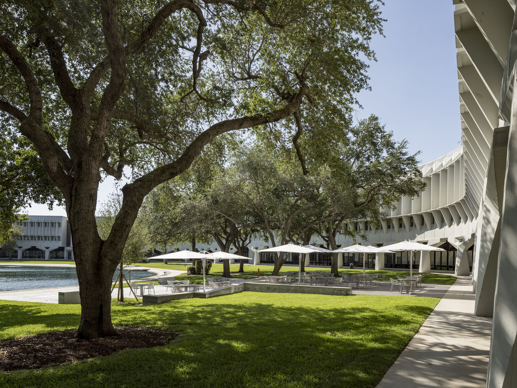 IBM’s 1968 Historic Office Building Turns into Modern Tech Campus