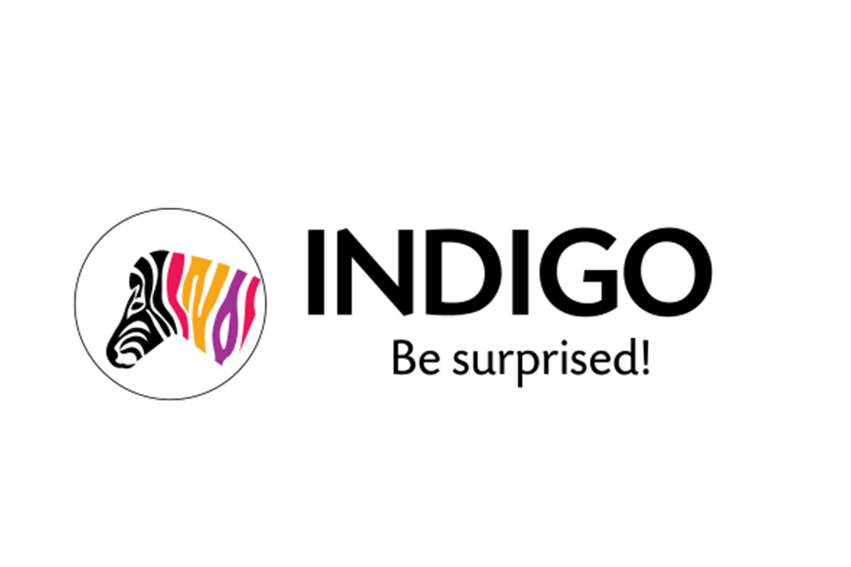 Sequoia Capital India Sells Stake in Indigo Paints