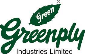 Greenply Introduces (E-0) Program On Health & Wellbeing For Carpenters