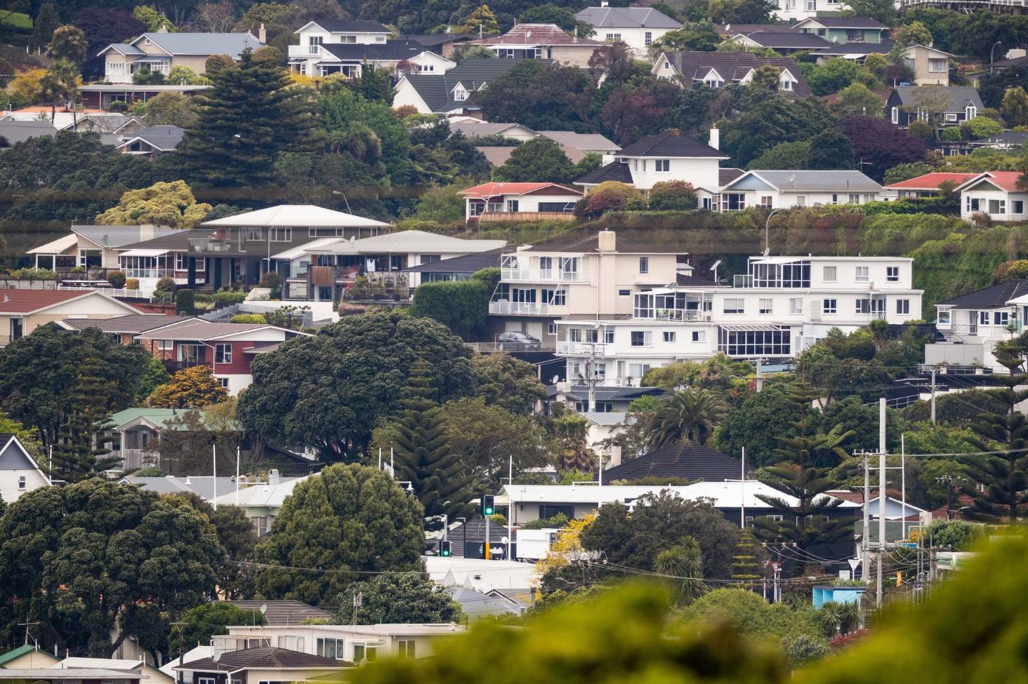 New Zealand Property Prices Fall Drastically