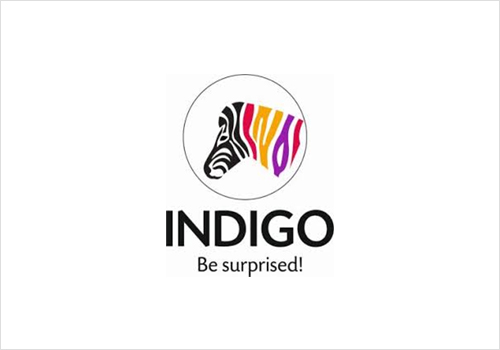 Indigo Paints Forays Into Waterproofing, Construction Chemicals