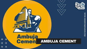 Ambuja Cement Community Building Initiative Honours Teeja Devi