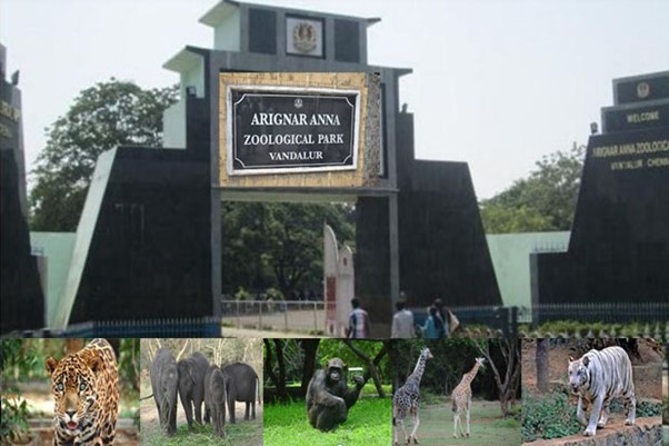 CtrlS Datacenters Partners with Chennai Zoo