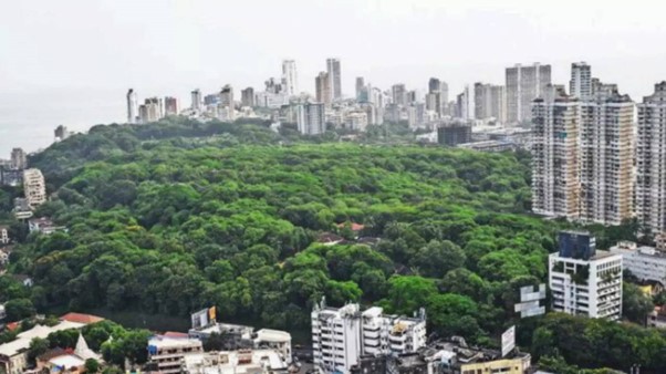 Mumbai Malabar Hill Sees 10% Appreciation In Housing