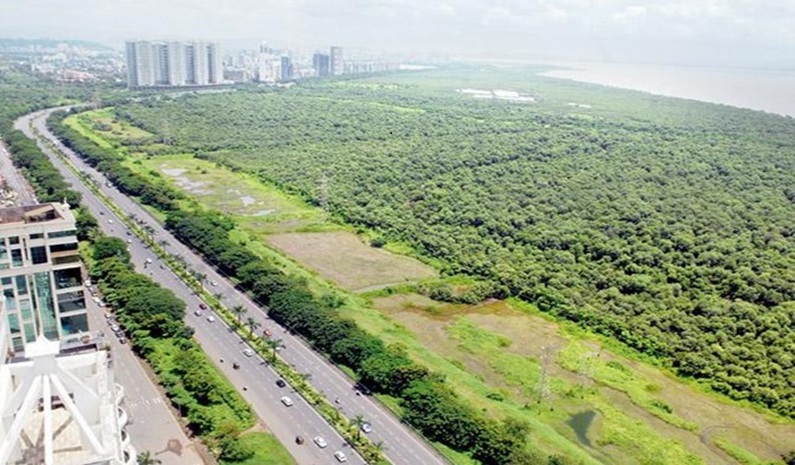 Navi Mumbai’s Plot Auctioned For Record Bid Of Rs 6.46 Lakh Per Sqm