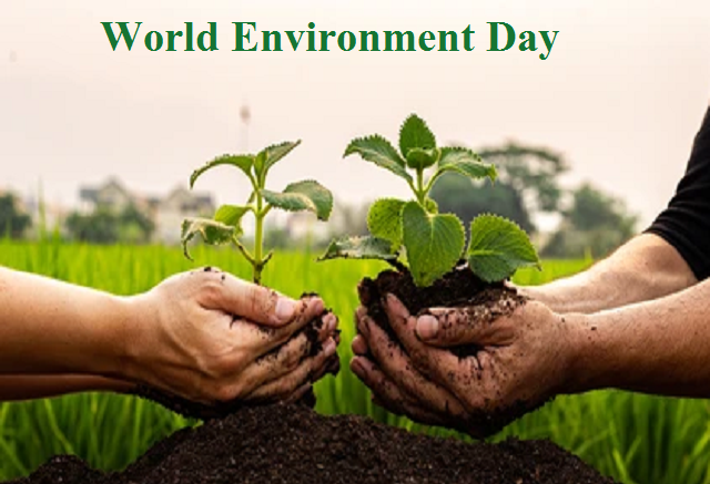 Realty Leaders Pledge Green Practices This World Environment Day