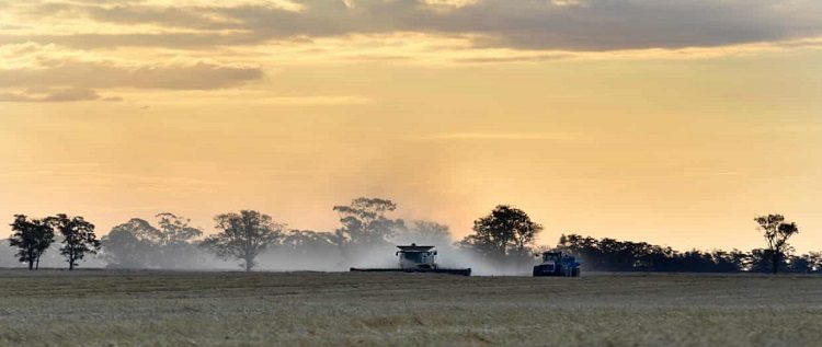 Surge in Australian Farmland Prices