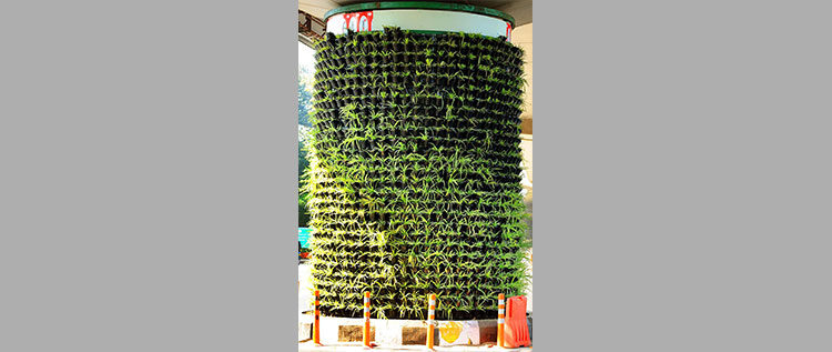 Living Walls to combat pollution