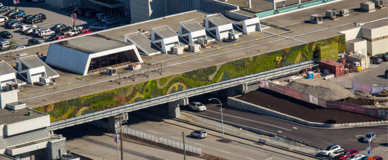 Living Walls to combat pollution