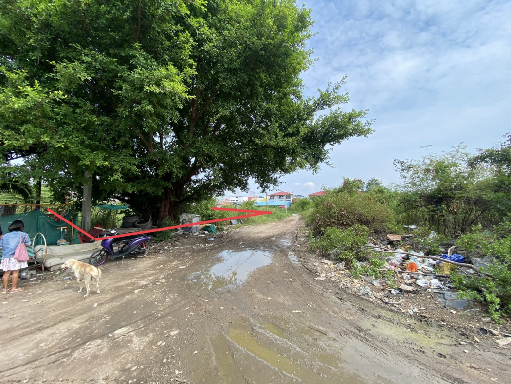 ภาพขาย ที่ดิน ทุ่งครุ ประชาอุทิศ 90 เนื้อที่ 2 งาน