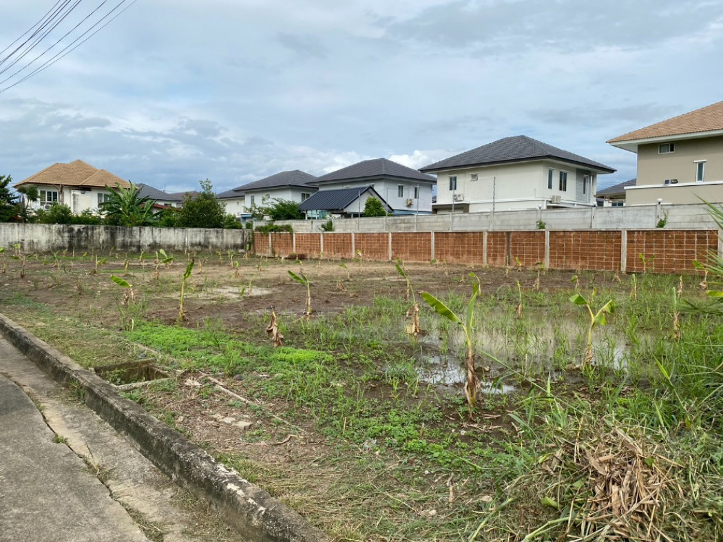 ภาพขาย ที่ดิน ถนนราชพฤกษ-ทางหลวง345 ปทุมธานี ID-12821