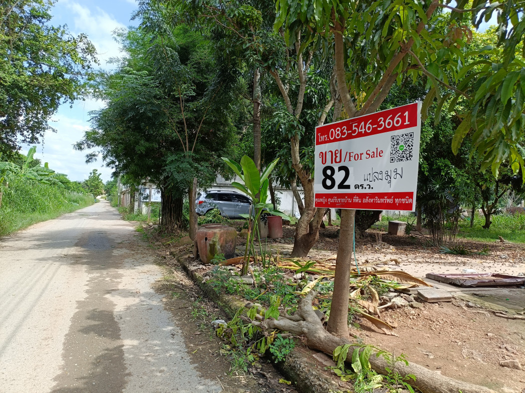 ภาพที่ดิน 82 ตร.ว. สัตหีบ- สุขุมวิท 19 วิวภูเขา แปลงม