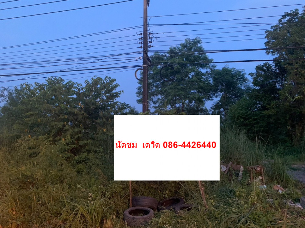 ภาพขาย - เช่า  ที่ดินติดถนนใหญ่ 2 แปลงนี้ติดถนน 304 ห