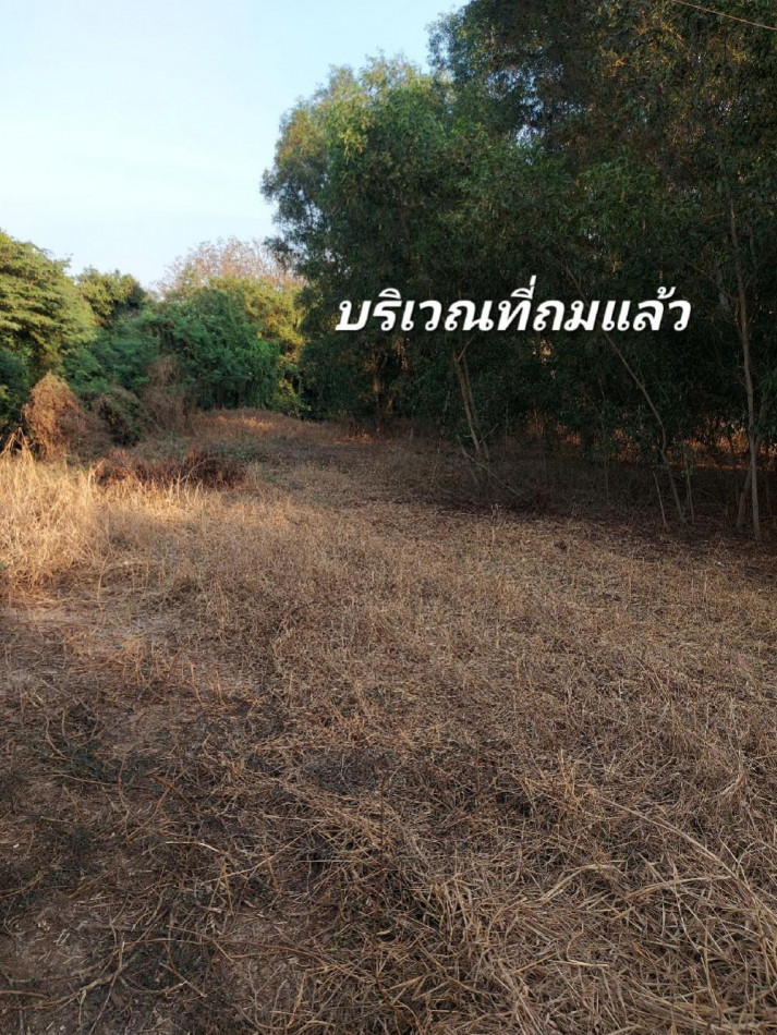 ขาย ที่ดิน นครชัยศรี 2-1-27 ไร่ ใกล้กรุงเทพ แปลงสว