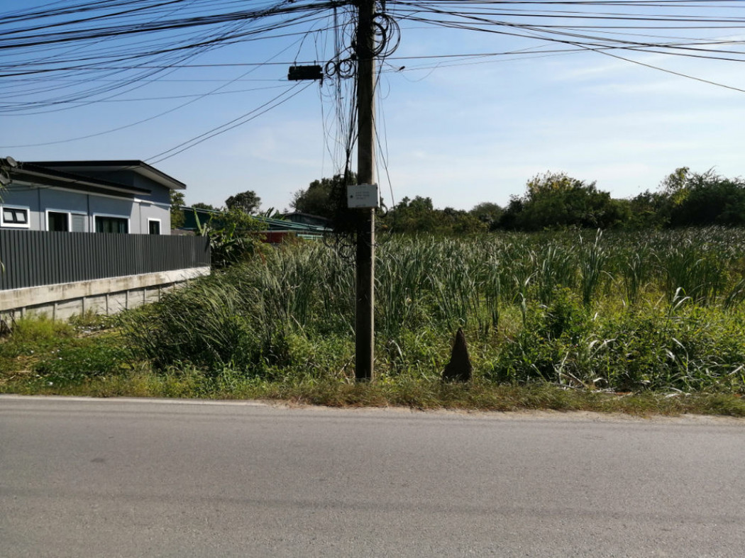 ขาย ที่ดิน บางกระสั้น อำเภอบางปะอิน จังหวัดพระนครศ