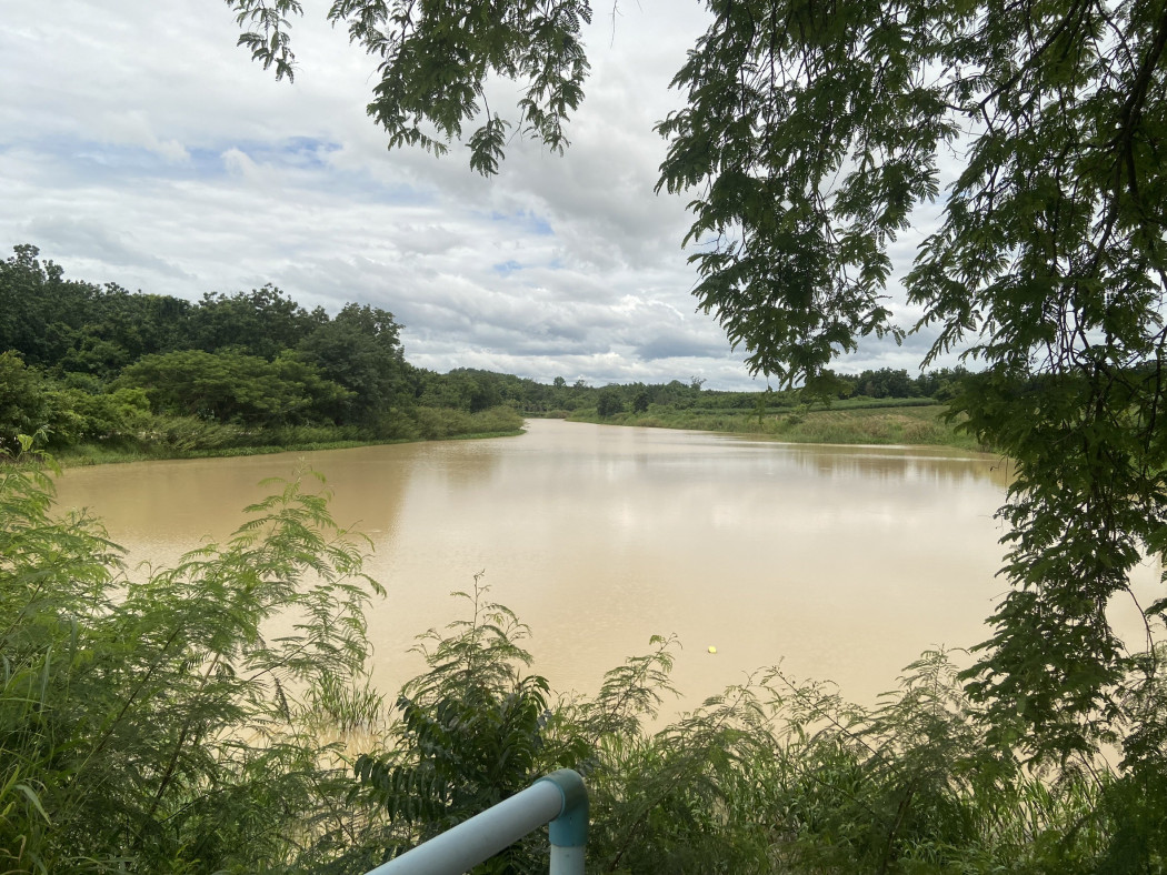 16238 ขาย ที่ดิน ถนนคอนกรีต ใกล้แหล่งน้ำ ด่านมะขาม