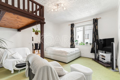 Prodej bytu 1+1 45.5 m²