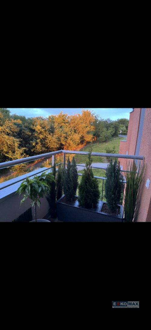 Prodej bytu 1+kk 47 m²