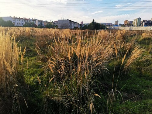 Prodej stavebního pozemku 1513 m²