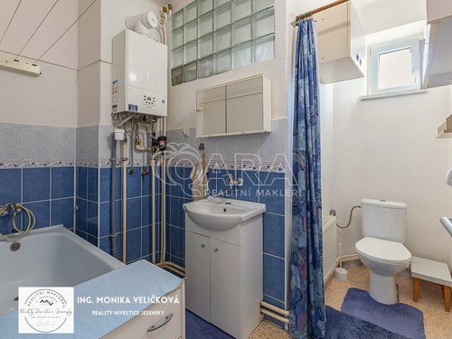 Prodej bytu 2+1 55 m²