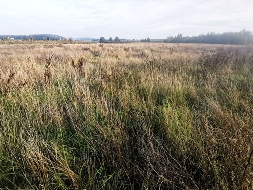 Prodej stavebního pozemku 1513 m²