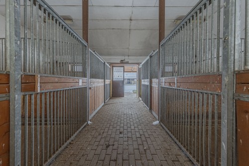 Prodej zemědělské usedlosti 398 m²