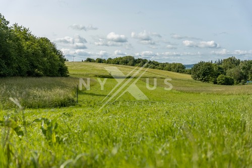 Prodej stavebního pozemku 3701 m²