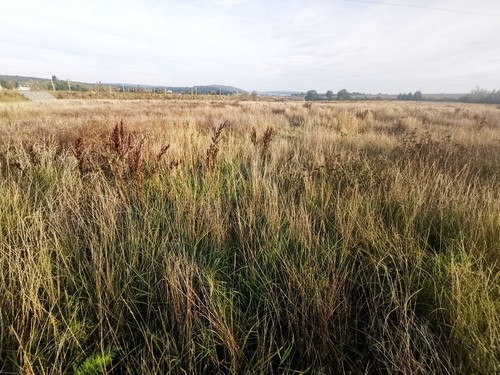 Prodej stavebního pozemku 1513 m²