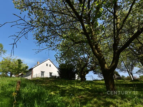 Prodej zemědělské usedlosti 210 m², pozemek 4000 m²