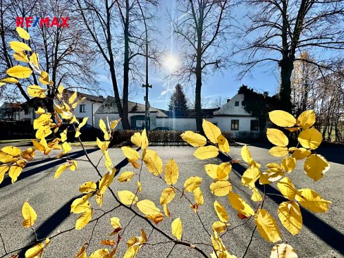 Prodej zemědělské usedlosti 877 m², pozemek 4154 m²