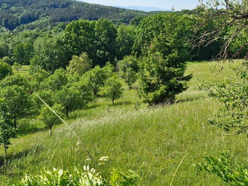 Prodej stavebního pozemku 17000 m²