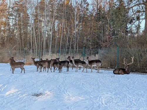 Prodej domu 140 m², pozemek 1068 m²