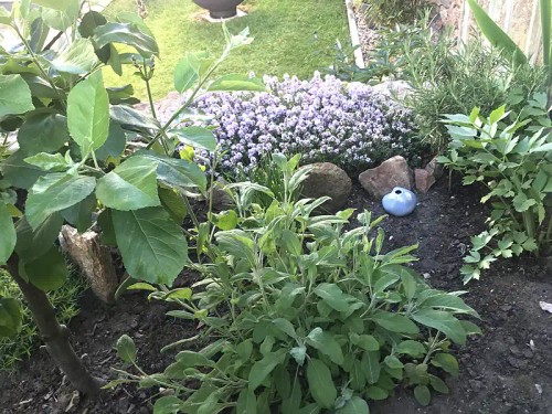 Prodej domu 130 m², pozemek 214 m²