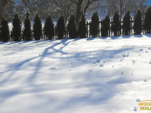 Prodej domu 128 m², pozemek 518 m²