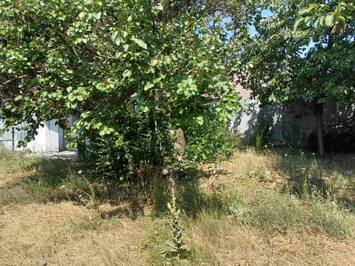 Prodej domu 95 m², pozemek 405 m²