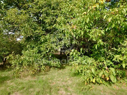 Prodej domu 270 m², pozemek 1909 m²