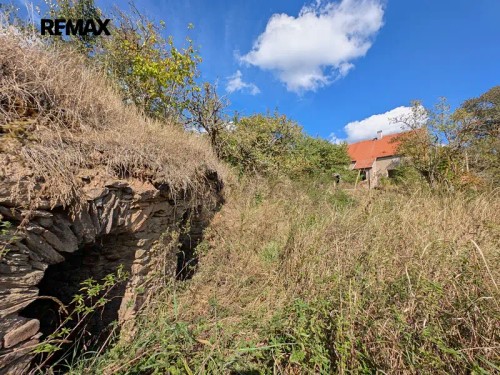 Prodej domu 300 m², pozemek 2000 m²