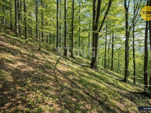 Prodej chaty 62 m², pozemek 319 m²