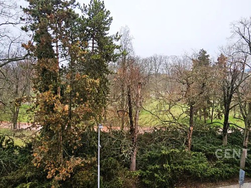 Prodej bytu 3+1 119 m²