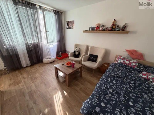 Prodej bytu 1+1 27 m²