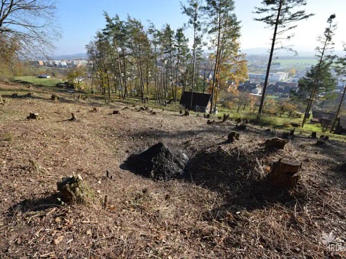 Prodej stavebního pozemku 2338 m²