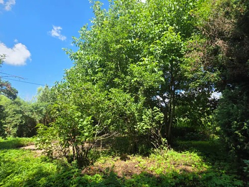 Prodej stavebního pozemku 1119 m²