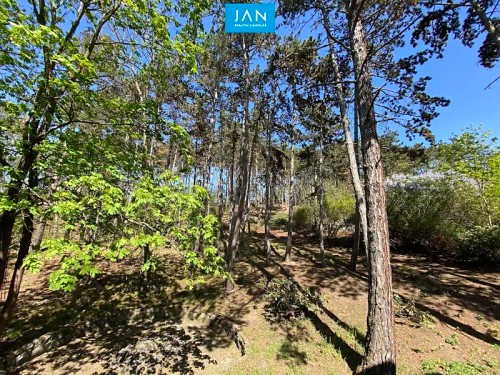 Prodej domu 307 m², pozemek 3962 m²