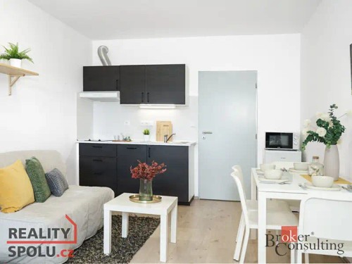 Prodaný byt 1+kk 33 m²