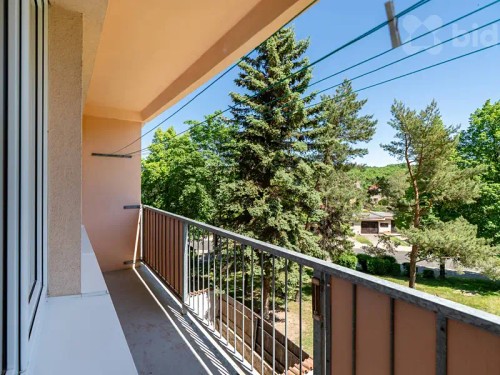 Prodaný  byt 2+1 49 m²