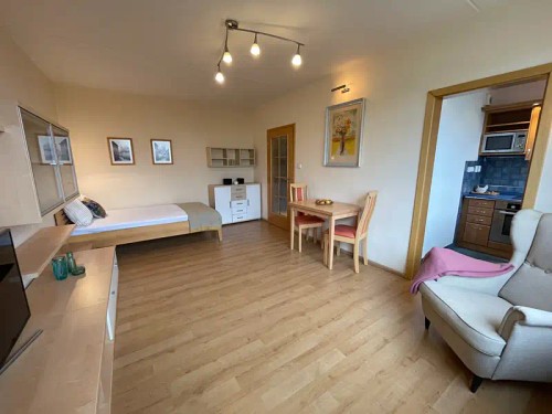 Prodaný byt 1+1 30 m²
