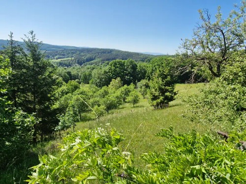 Prodej stavebního pozemku 17000 m²