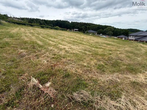 Prodej stavebního pozemku 2019 m²