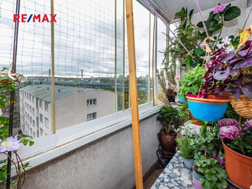 Prodaný byt 3+kk 42 m²